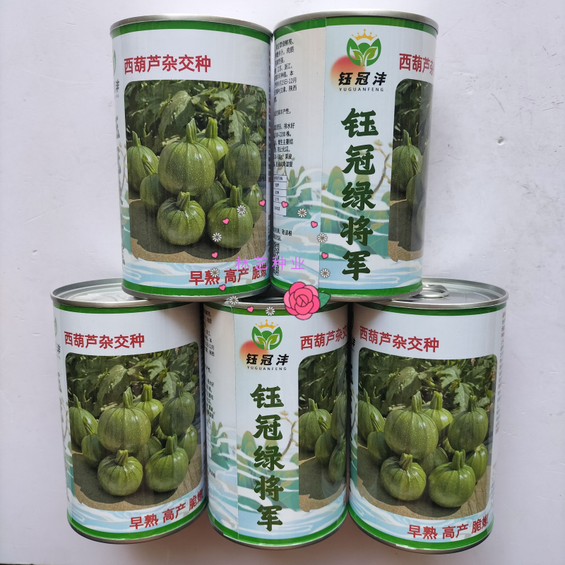 钰冠绿将军圆果西葫芦种子早熟杂交果皮翠绿鲜亮肉质脆嫩