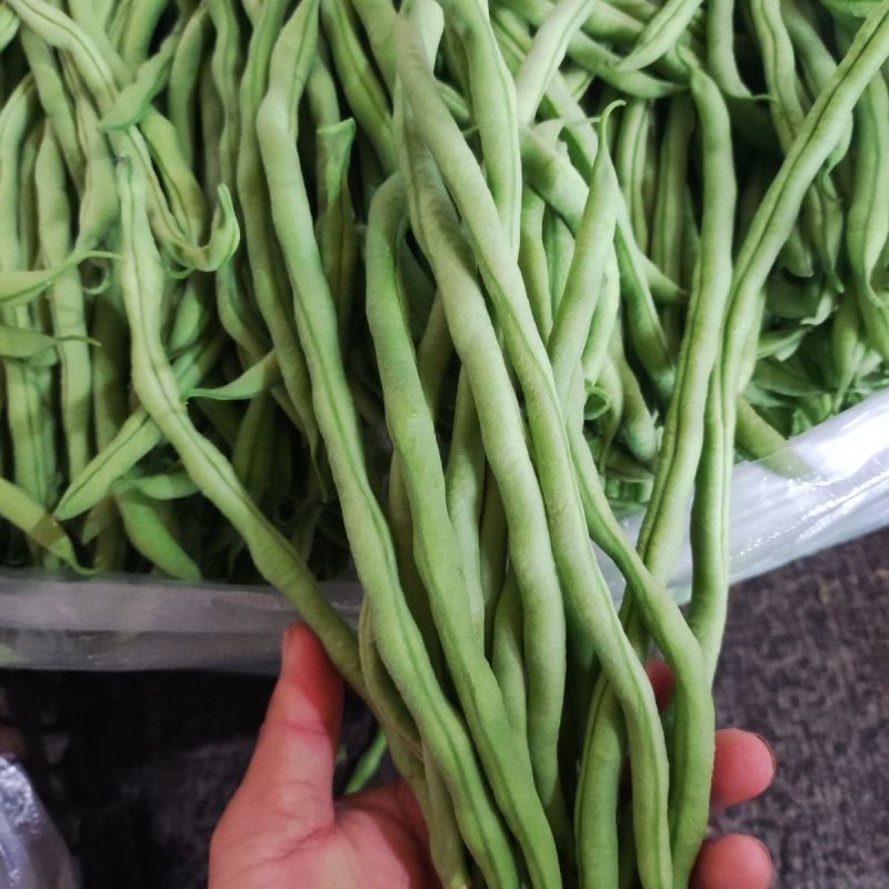 农娃娃N6架豆王无筋产量高绿条圆长架豆种籽大田用种耐热耐