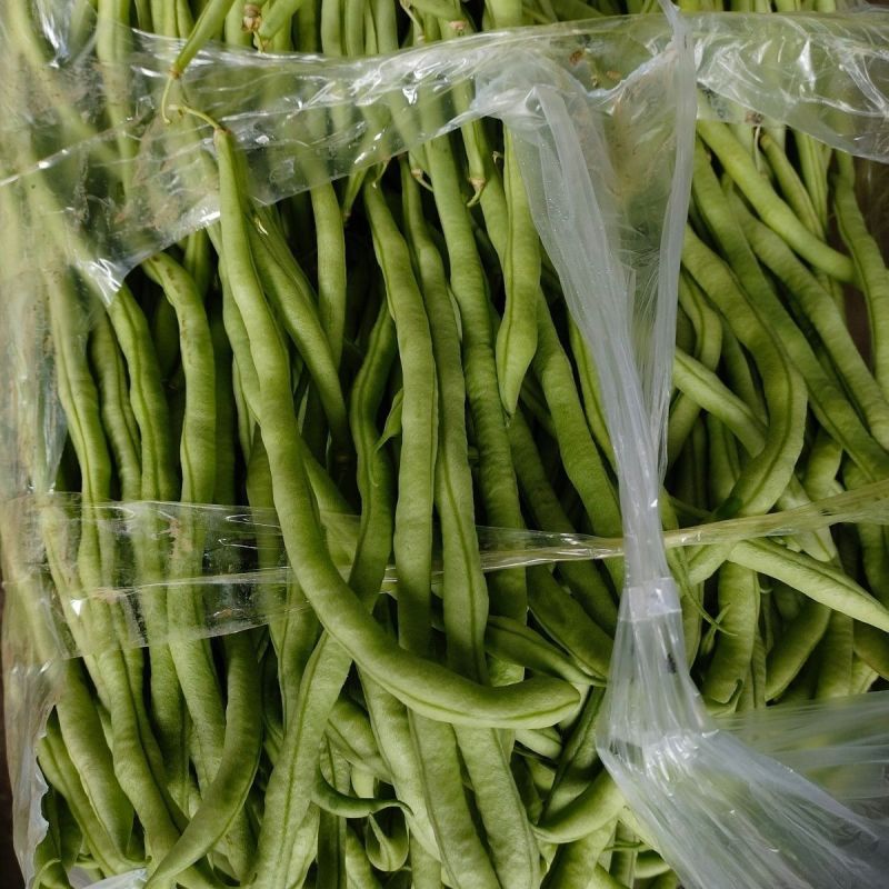 农娃娃N6架豆王无筋产量高绿条圆长架豆种籽大田用种耐热耐