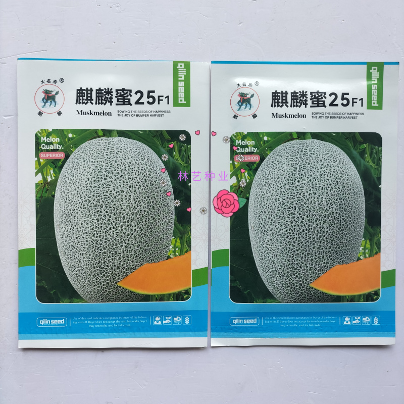麒麟蜜25哈密瓜种子耐裂西州蜜网纹甜瓜种子基地专用