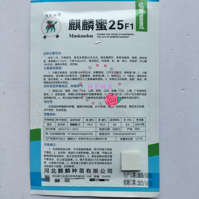 麒麟蜜25哈密瓜种子耐裂西州蜜网纹甜瓜种子基地专用