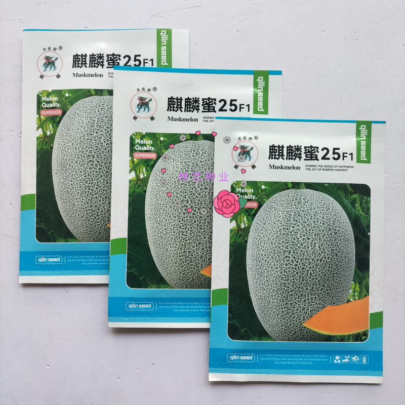 麒麟蜜25哈密瓜种子耐裂西州蜜网纹甜瓜种子基地专用