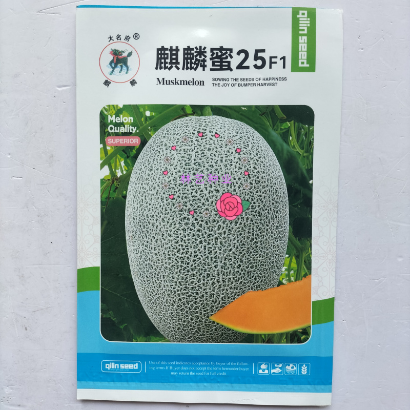 麒麟蜜25哈密瓜种子耐裂西州蜜网纹甜瓜种子基地专用