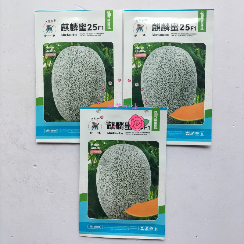 麒麟蜜25哈密瓜种子耐裂西州蜜网纹甜瓜种子基地专用