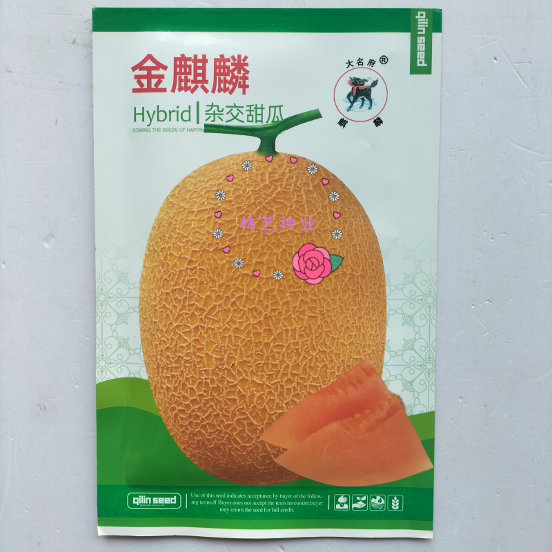 金麒麟甜瓜种子中熟超甜薄皮香瓜种籽网纹金黄色椭圆形哈密瓜