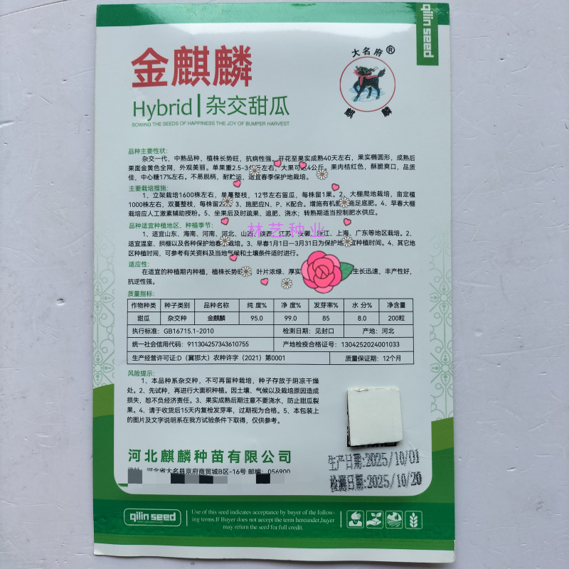 金麒麟甜瓜种子中熟超甜薄皮香瓜种籽网纹金黄色椭圆形哈密瓜