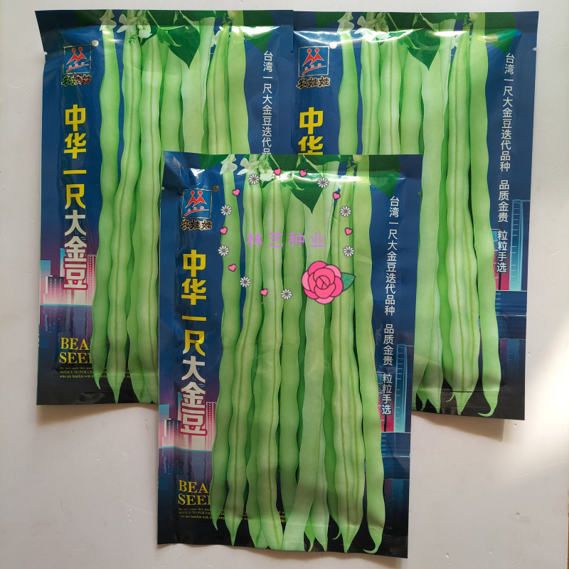中华一尺大金豆种子中熟荚青白色圆长开白花菜豆架豆四季豆种