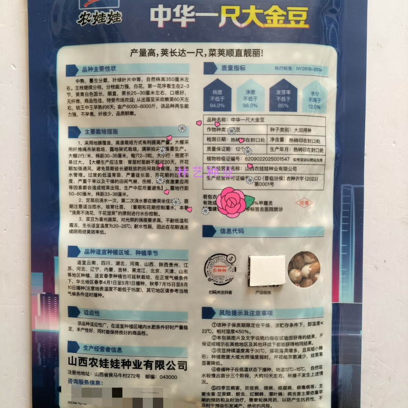 中华一尺大金豆种子中熟荚青白色圆长开白花菜豆架豆四季豆种