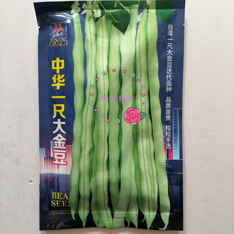 中华一尺大金豆种子中熟荚青白色圆长开白花菜豆架豆四季豆种