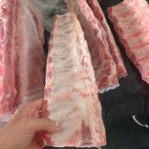 母猪满肉龙骨