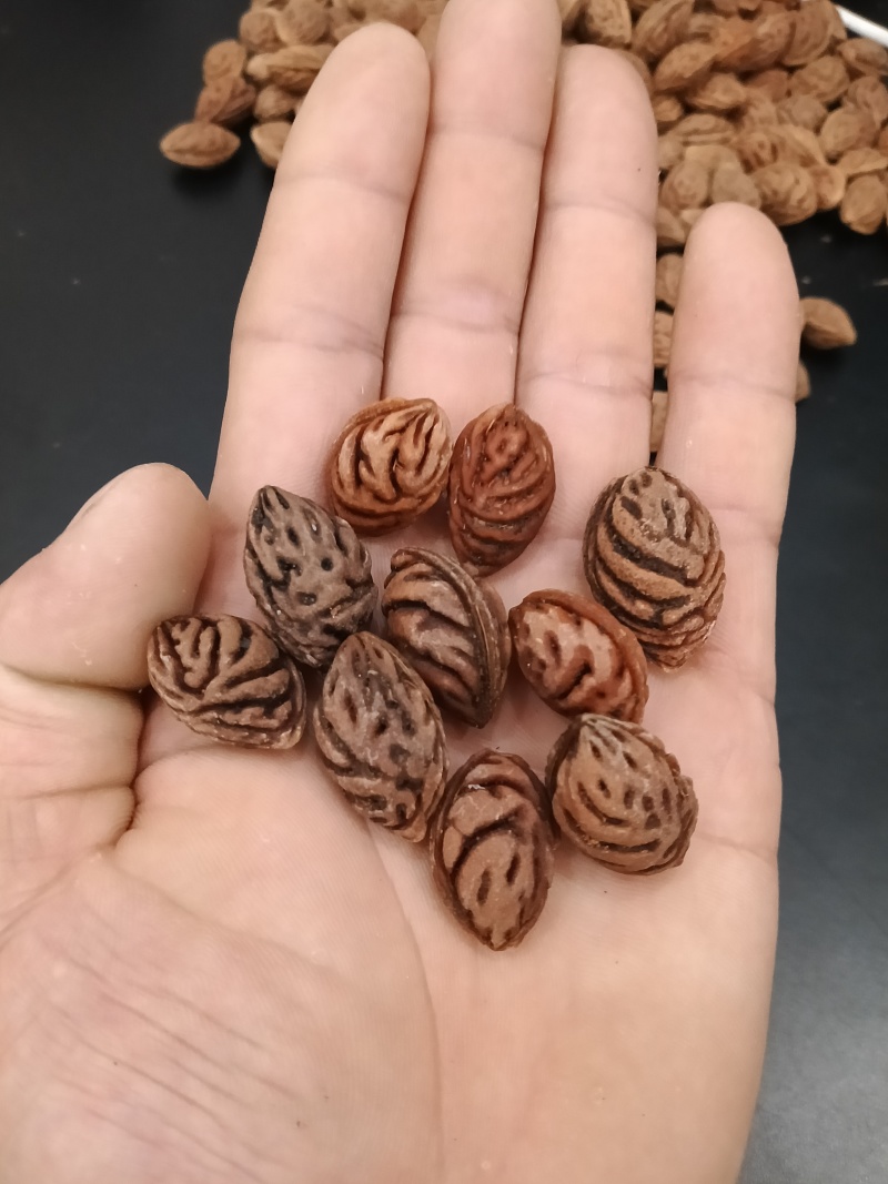 毛桃核/野生毛桃核/毛桃核文玩手串饰品