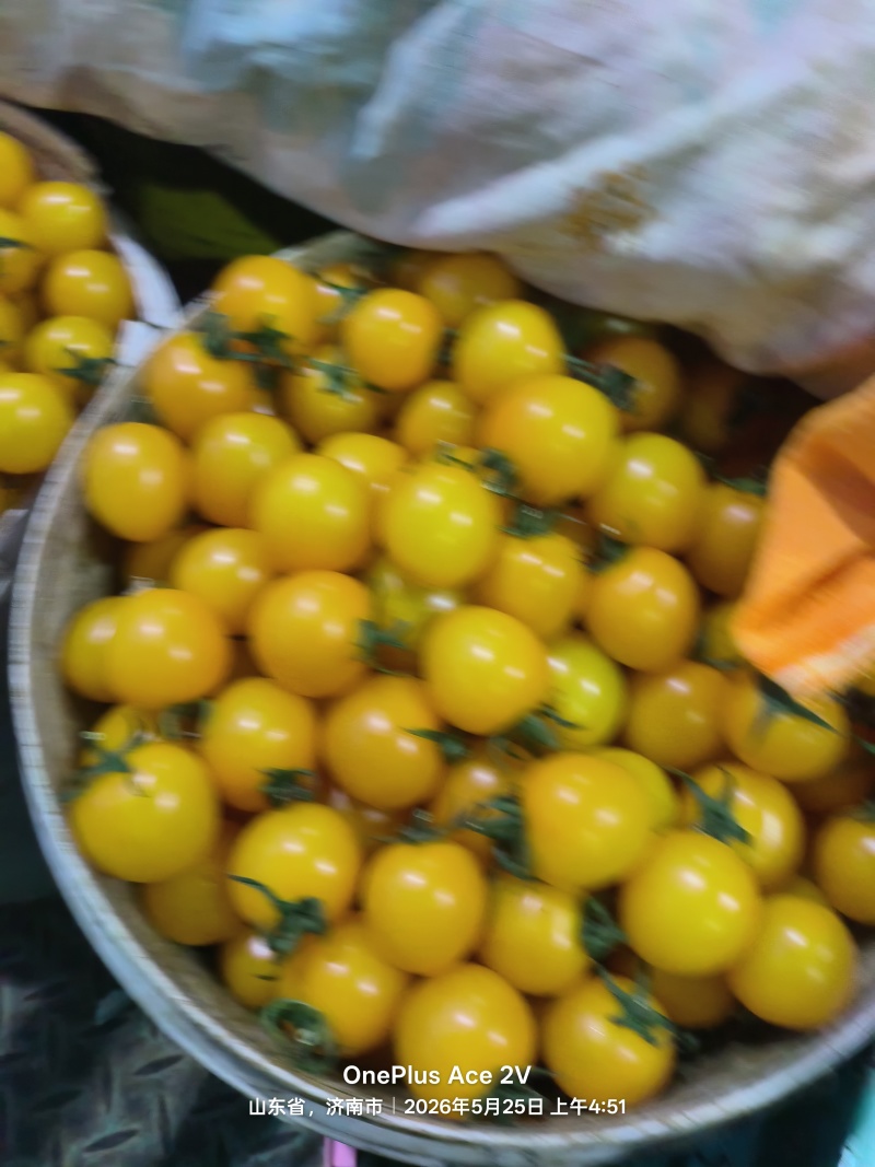 圣女果