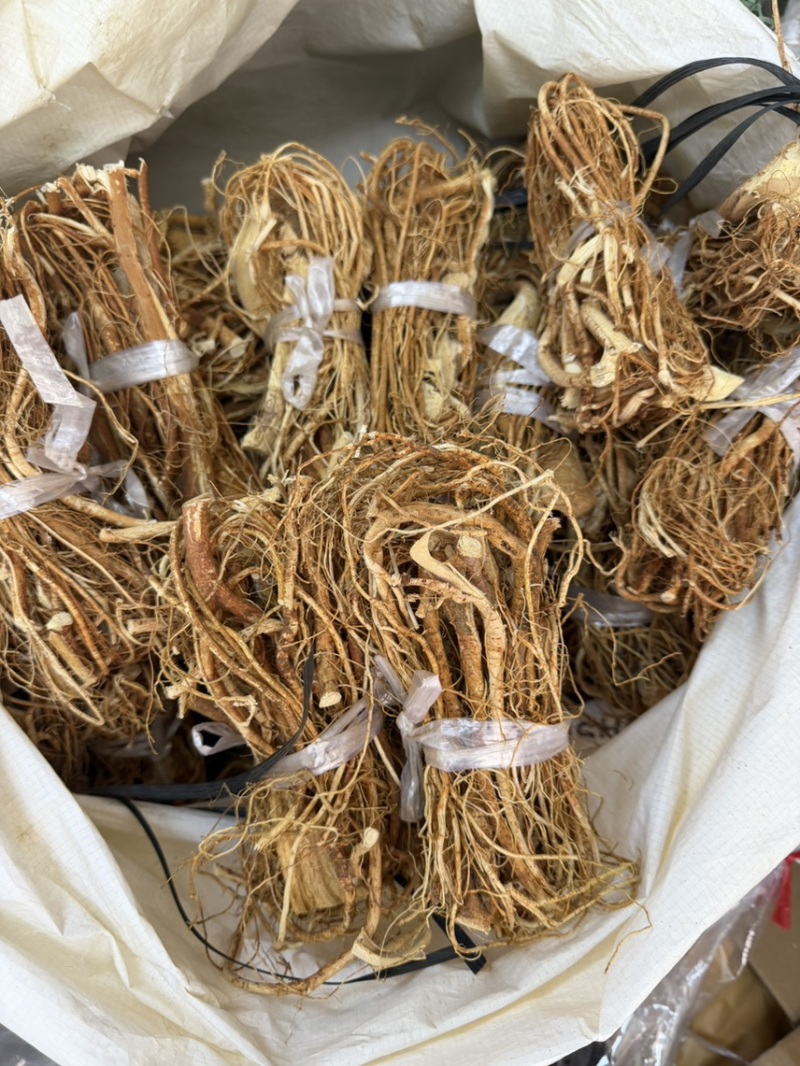 河源小扎把五指毛桃批量供应品质**长期供货稳定量大更优惠