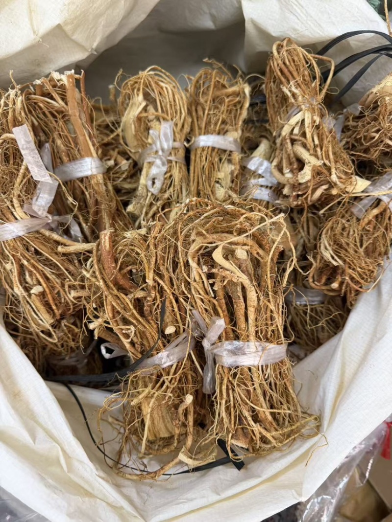 河源小扎把五指毛桃批量供应品质**长期供货稳定量大更优惠