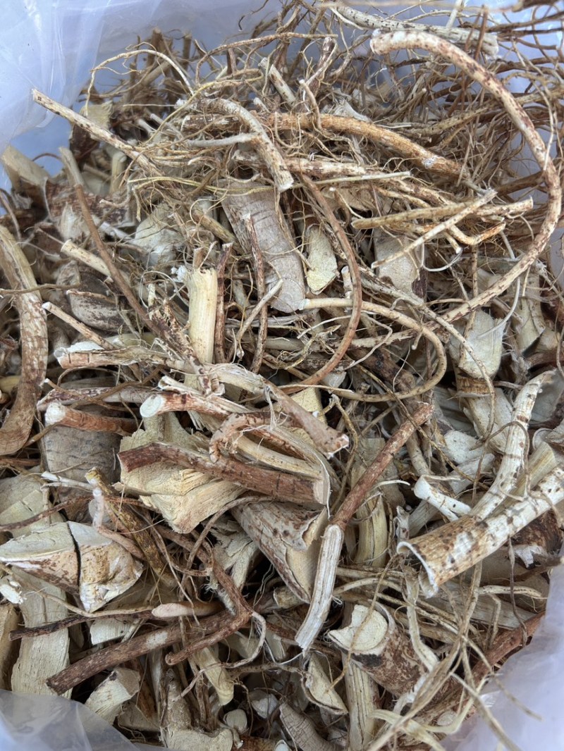 河源小扎把五指毛桃批量供应品质**长期供货稳定量大更优惠