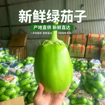 【精品青茄】河南安阳产地直发质量保证规格齐全一手货源