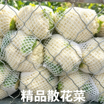 有机花菜河南基地直供质量保证一手货源全国发货