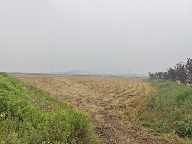 芜湖市弋江区有200亩地，可做农业订单种植。旱地。