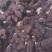 即食野生九蒸九晒制黄精中药批发一手货源量大忧惠