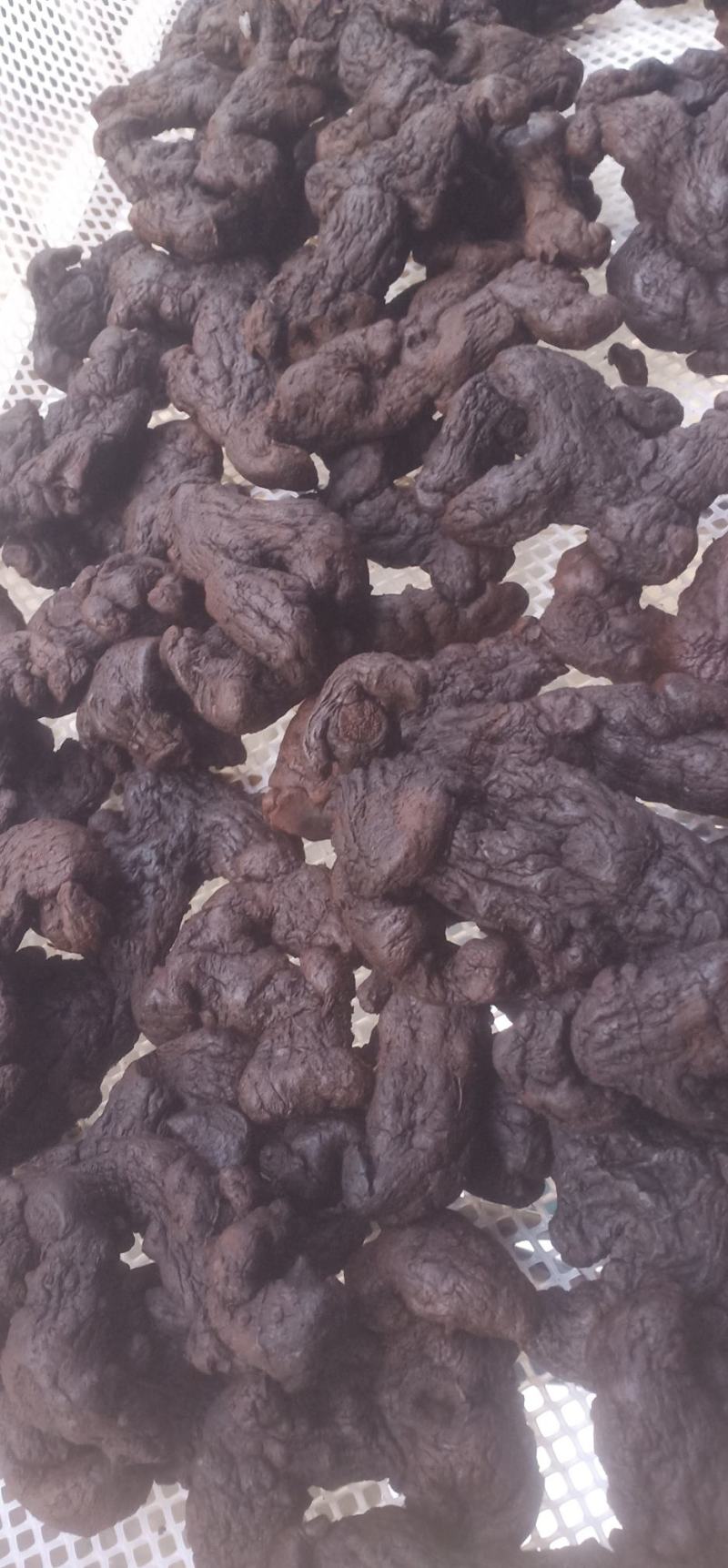 即食野生九蒸九晒制黄精中药批发一手货源量大忧惠
