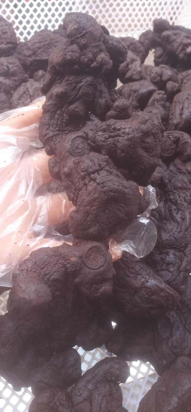 即食野生九蒸九晒制黄精中药批发一手货源量大忧惠