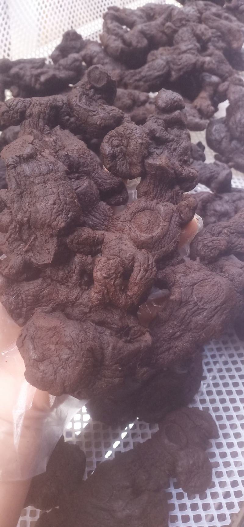 即食野生九蒸九晒制黄精中药批发一手货源量大忧惠