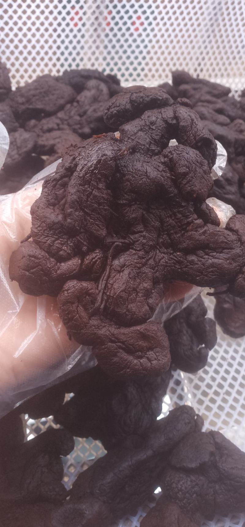 即食野生九蒸九晒制黄精中药批发一手货源量大忧惠