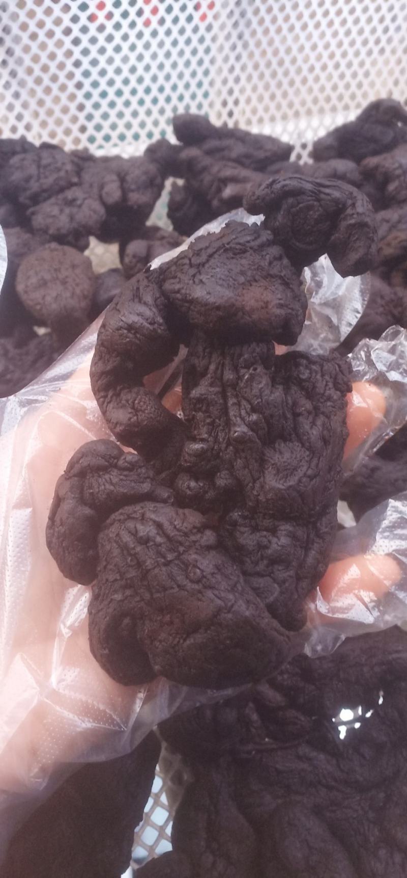 即食野生九蒸九晒制黄精中药批发一手货源量大忧惠