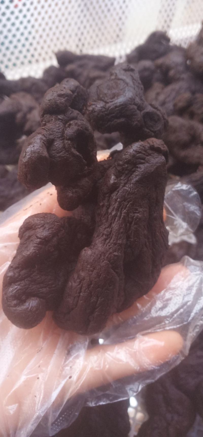 即食野生九蒸九晒制黄精中药批发一手货源量大忧惠