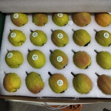 库尔勒香梨