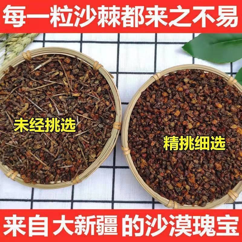 新疆沙棘正品沙棘干果野生沙棘果干沙棘茶泡茶可泡沙棘茶