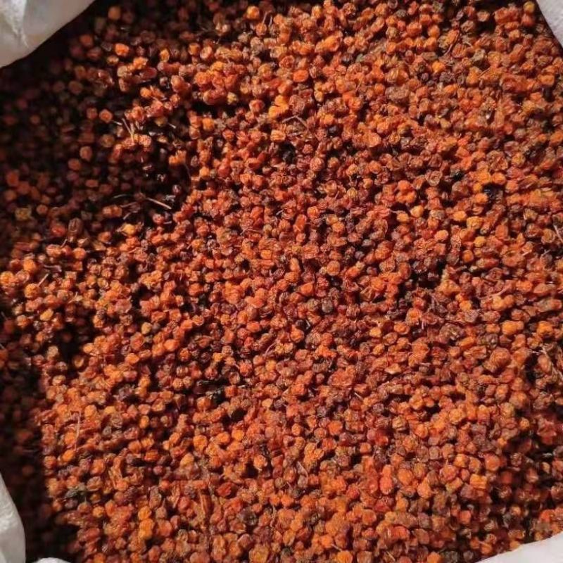 新疆沙棘正品沙棘干果野生沙棘果干沙棘茶泡茶可泡沙棘茶