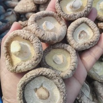 【精】香菇，干香菇，对接批发采购，大量供货，欢迎来电