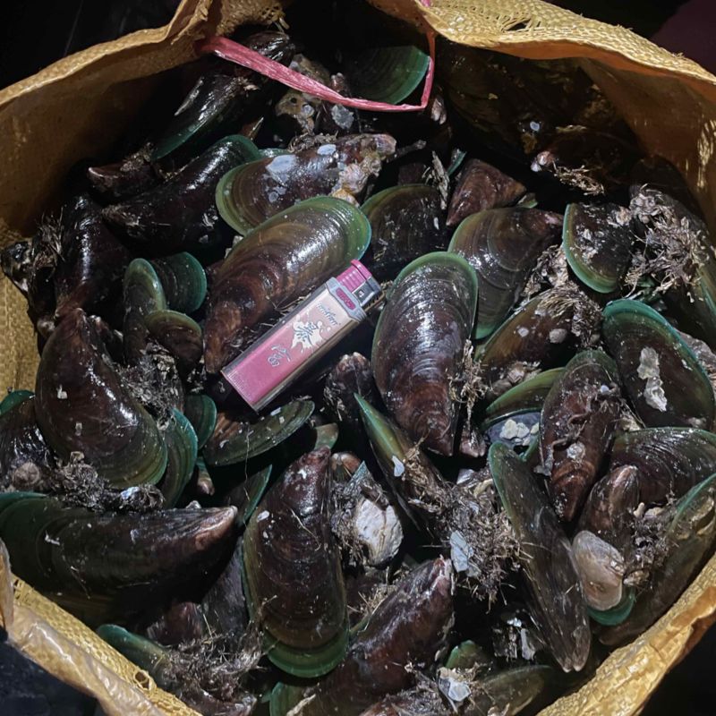 渔船直上台山大青口8-12统货，烧烤摊**。