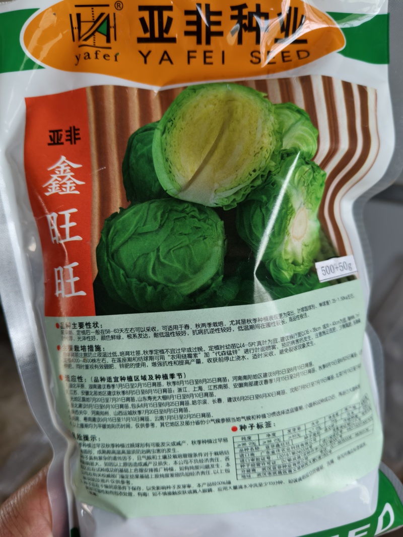 耐热耐裂抗病圆球形甘蓝苗牛心甘蓝苗