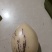 人参果