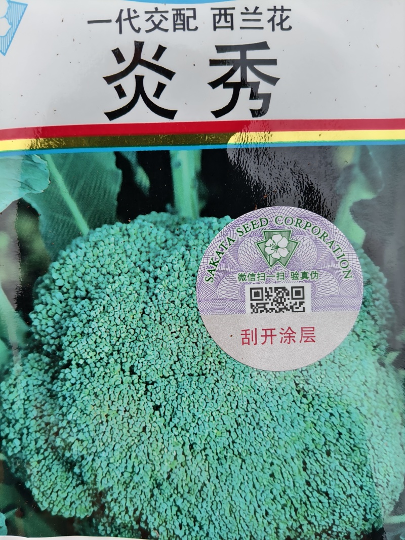 【推荐】西兰花苗规格齐全早熟中晚成熟都有欢迎电询