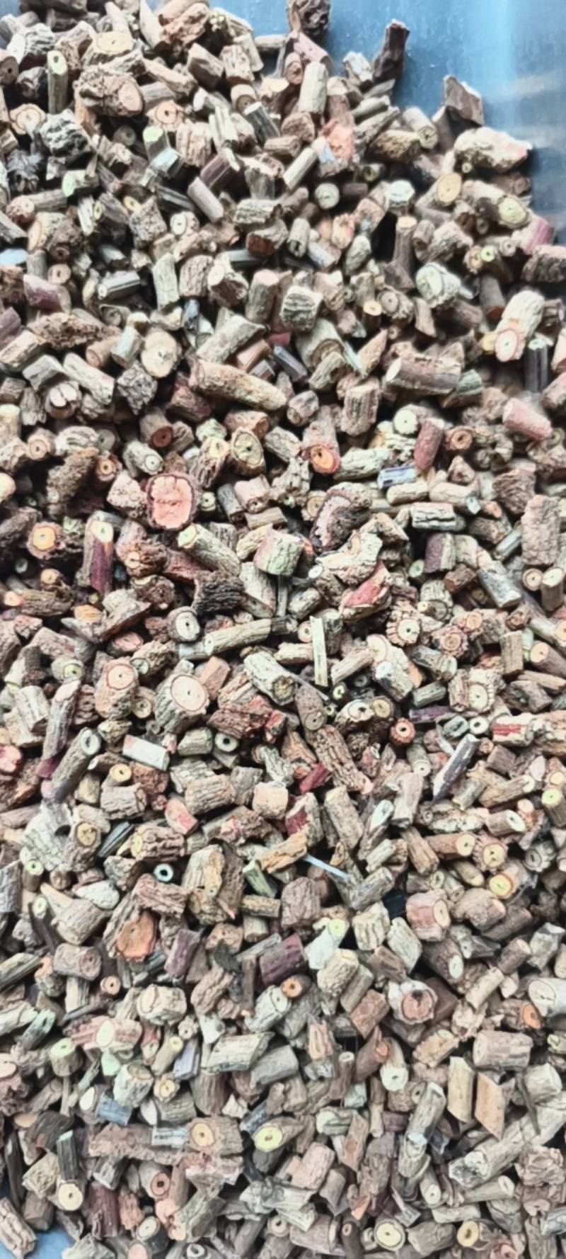茜草红茜草根质量好产地山西省地道药材