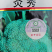 西兰花苗，炎秀西兰花苗，耐热适应性很强