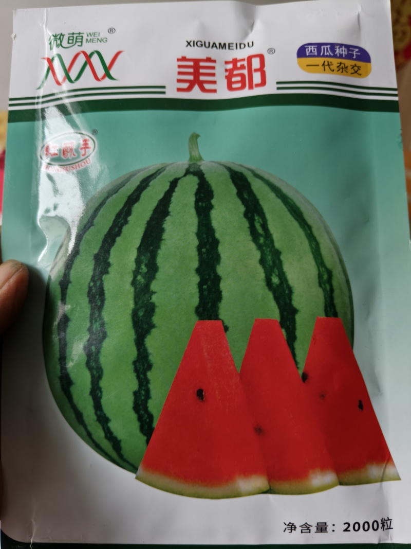 美都西瓜苗，嫁接苗自根苗，西农八号西瓜苗甜瓜苗等