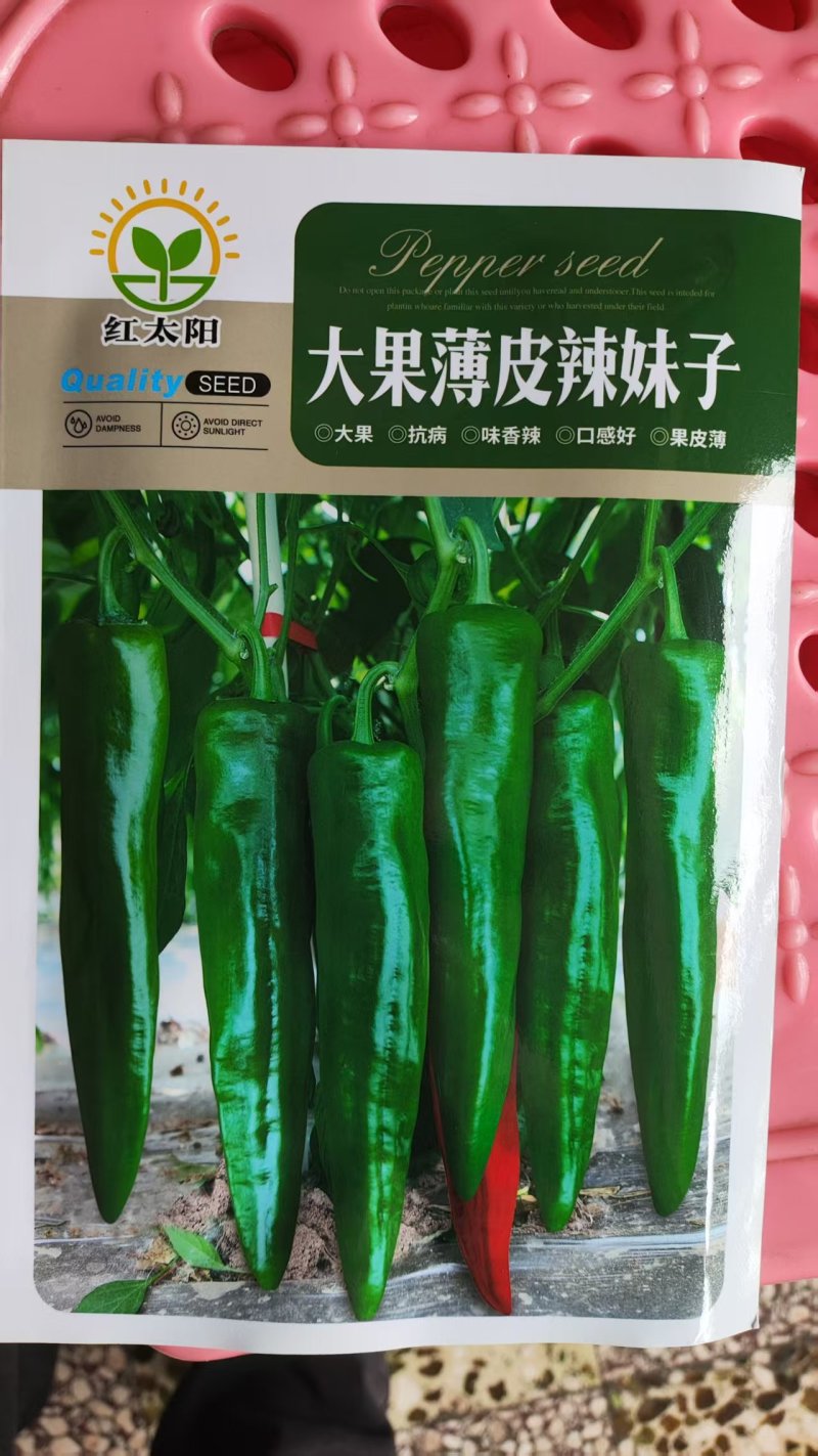 辣椒苗，薄皮椒苗，线椒苗螺丝椒苗邹皮椒苗