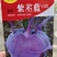 松花菜苗，早熟耐热适应性强青梗松花菜苗松花菜苗，