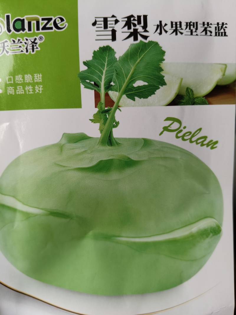 松花菜苗，早熟耐热适应性强青梗松花菜苗松花菜苗，