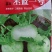松花菜苗，早熟耐热适应性强青梗松花菜苗松花菜苗，