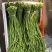 四川精品豆角青豇豆青条豆角基地直供量大从优欢迎联系