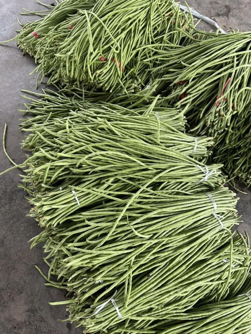 四川精品豆角青豇豆青条豆角基地直供量大从优欢迎联系