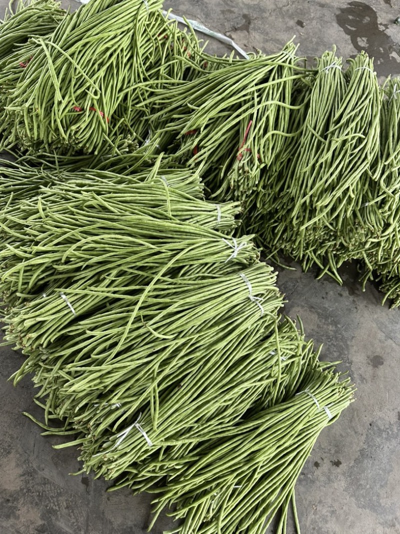 四川精品豆角青豇豆青条豆角基地直供量大从优欢迎联系