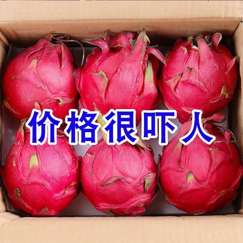 广西火龙果大量上市中支持全网线上线下一件代发品质保证