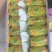 惠民博洋九甜瓜大量有货，货源充足，诚信第一代发全国