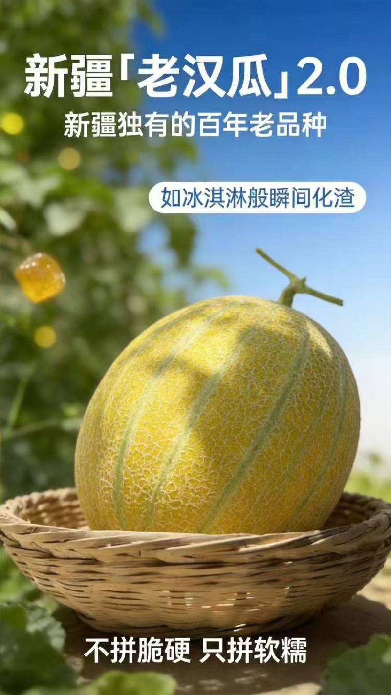 新疆吐鲁番【老汉瓜】2.0